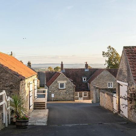 Prospect Farm Cottages Allerston المظهر الخارجي الصورة