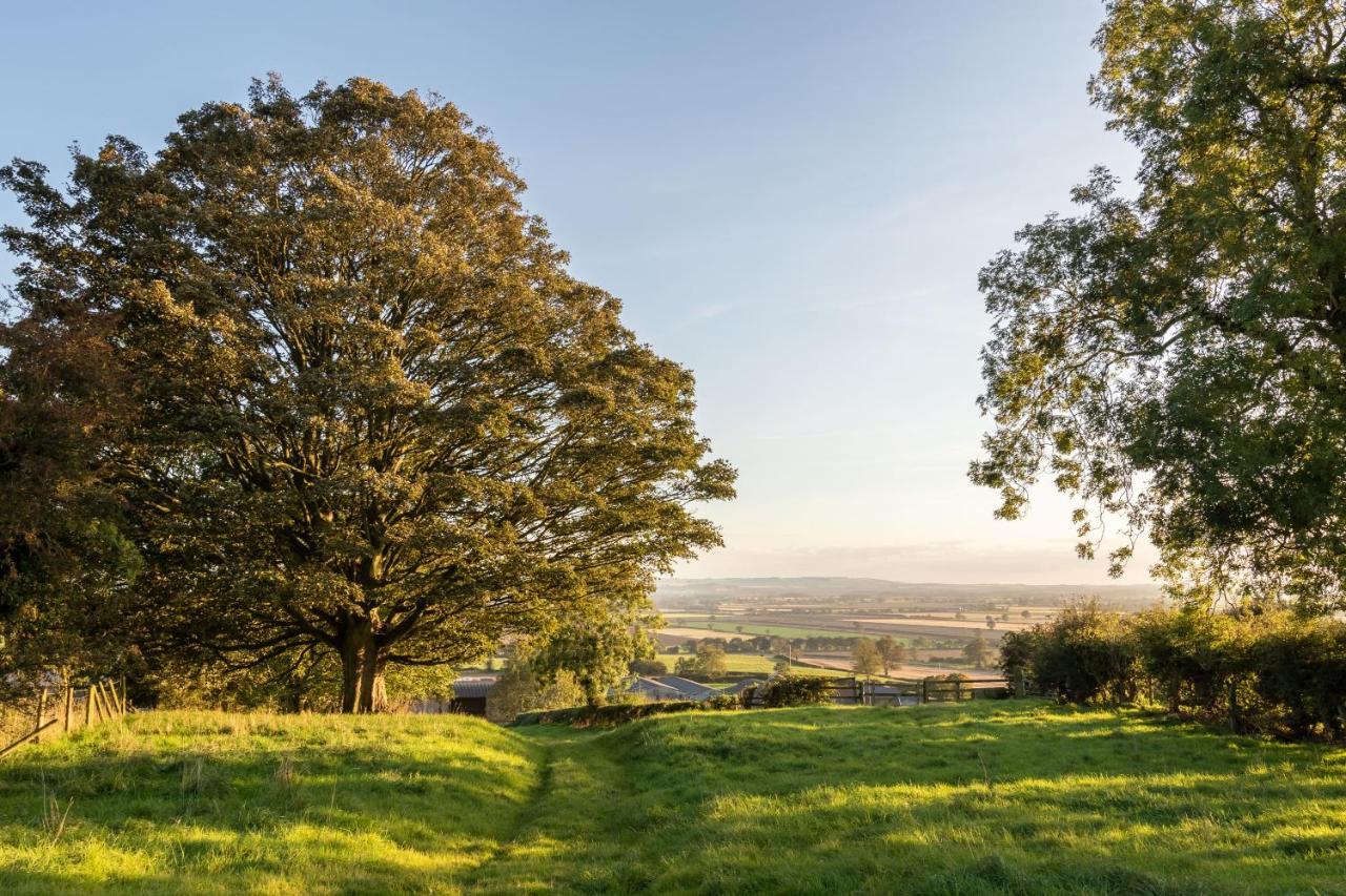 Prospect Farm Cottages Allerston المظهر الخارجي الصورة