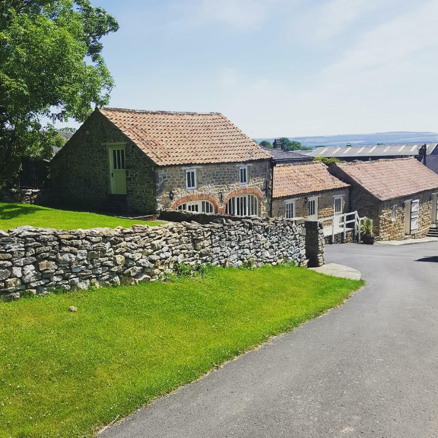 Prospect Farm Cottages Allerston المظهر الخارجي الصورة